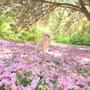 Meet your Posher, Sharon